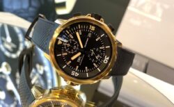 【IWC】育てて楽しむ時計！？「アクアタイマー・クロノグラフ“エクスペディション・チャールズ・ダーウィン」（IW379503）