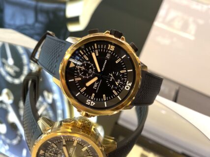 【IWC】育てて楽しむ時計！？「アクアタイマー・クロノグラフ“エクスペディション・チャールズ・ダーウィン」（IW379503）